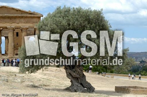 Sizilien (180 von 565).jpg